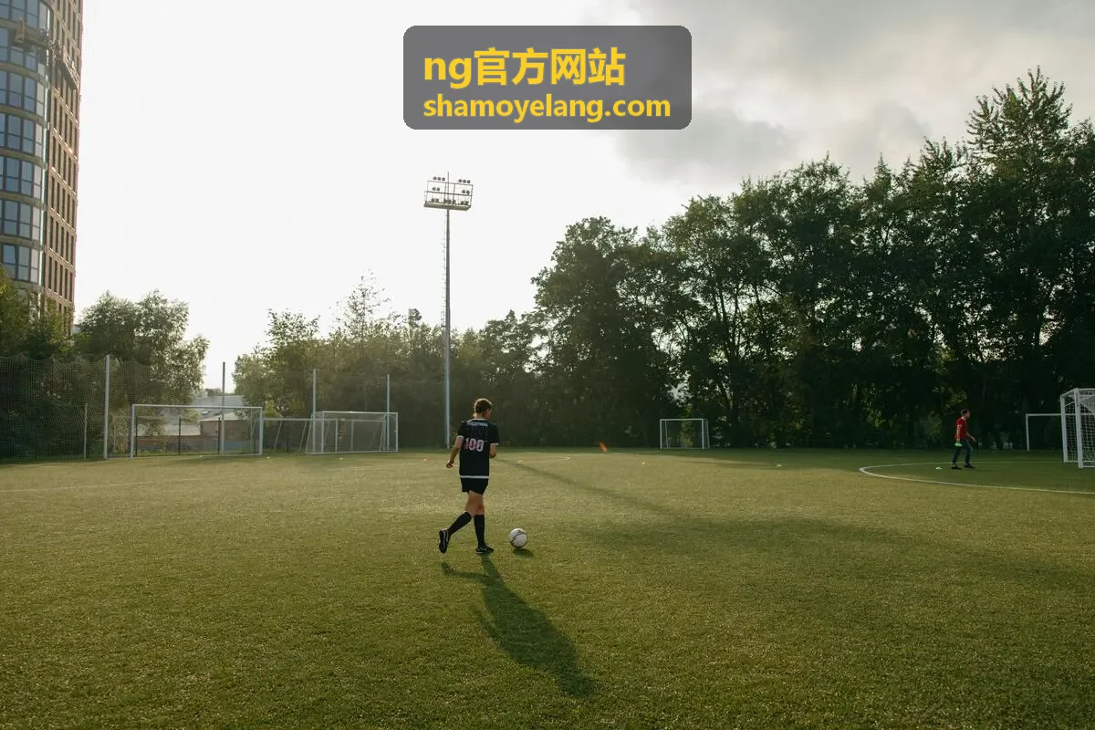 NG官方网站 NG-X1智能控制终端主推产品大图